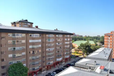 Piso en Avenida de Sánchez Arjona