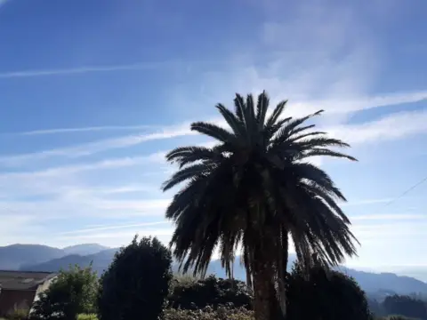 Finca rústica en calle Barrio Pelourao, nº 29