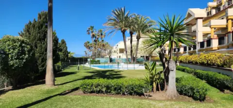 Estudio en Romana Playa