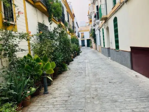 Dúplex en calle Monederos