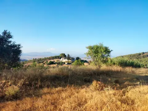 Terreno en Consejero