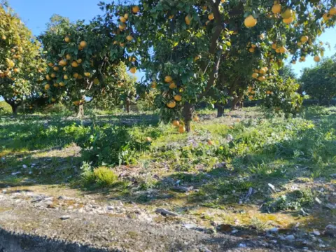 Terreno en Campo