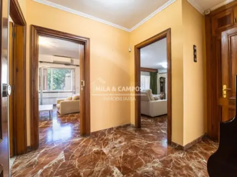 Piso en Centro-Zona calle Castillo