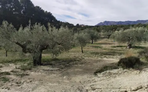 Finca rústica en Comunidad Valenciana
