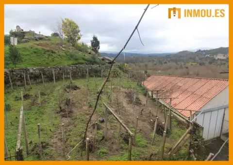 Almacén en O Ribeiro 1