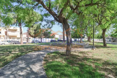 Dúplex en Punta Calera