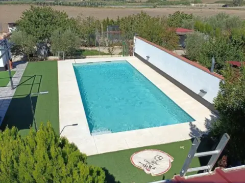 Chalet en Paseo Flamencos
