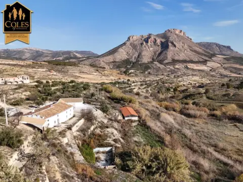 Finca rústica en calle Paraje Alancin