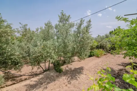 Finca rústica en calle Polígono 25 Parcela 364 002102000Wg24A Zalema. Ba, nº 25