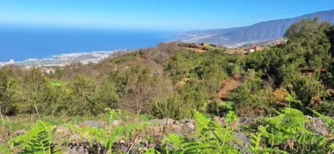 Finca rústica en Carretera de las Llanadas