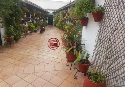 Chalet en San Agustín