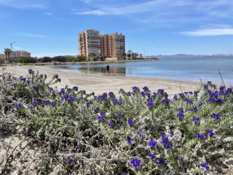 Apartamento en calle Cl Poligono G - Ma, nº 1407