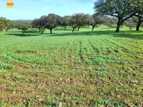 Terreno en Villanueva de los Castillejos