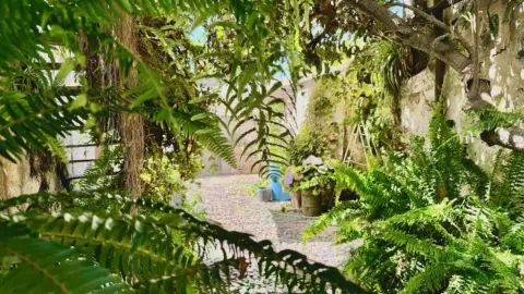 Finca rústica en Chirche