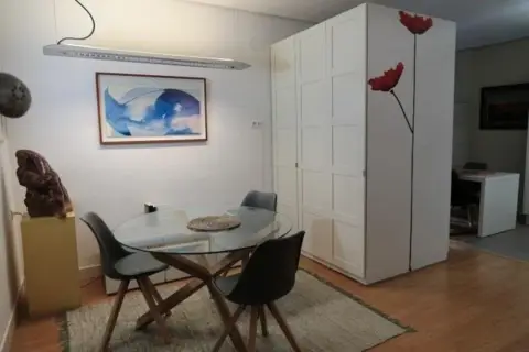 Estudio en Campo Volantin