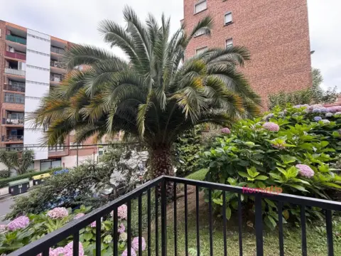 Apartamento en Begoña