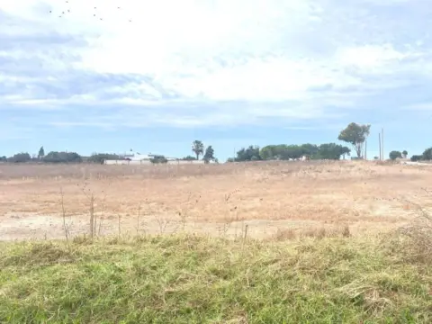 Terreno en calle Canada del Amarguillo