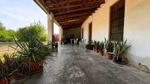Finca rústica en Partida Maitino
