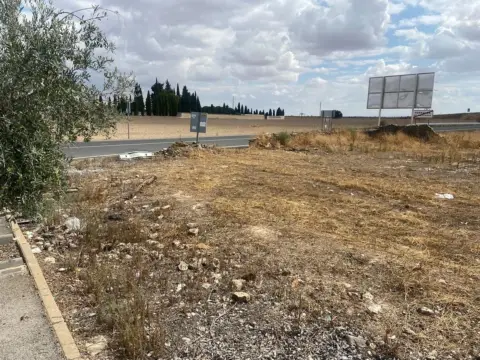 Terreno en Carretera de los Bolaños, 14