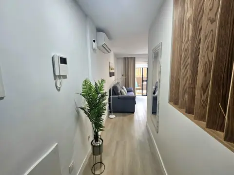Estudio en Avenida Alcalde Paco Gonzalez
