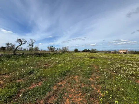 Finca rústica en Área de Santanyí