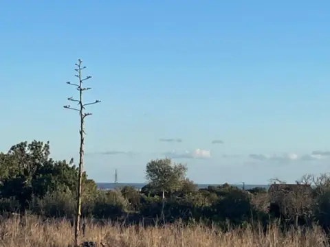 Finca rústica en Área de Santanyí