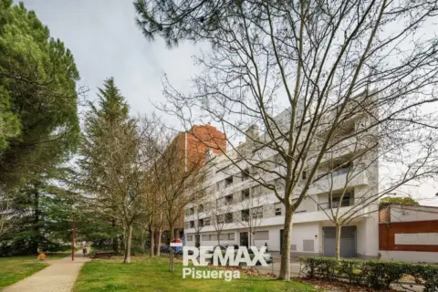 Piso en Paseo de Zorrilla, 137