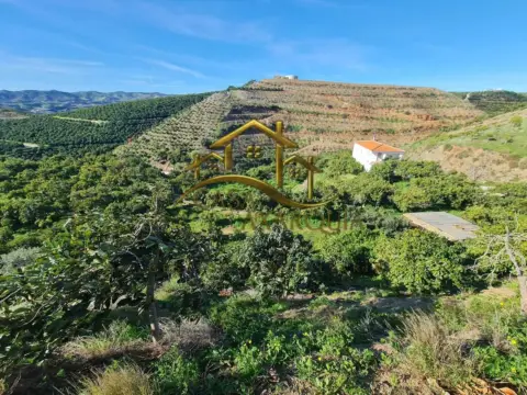 Finca rústica en Área Triana