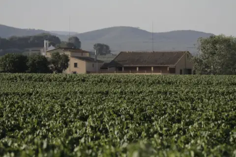 Finca rústica en Sant Marçal
