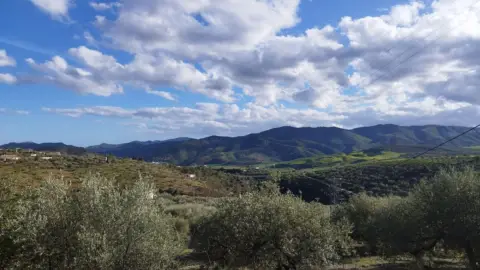 Terreno en Riogordo