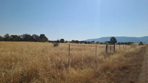 Terreno en Tenzuela