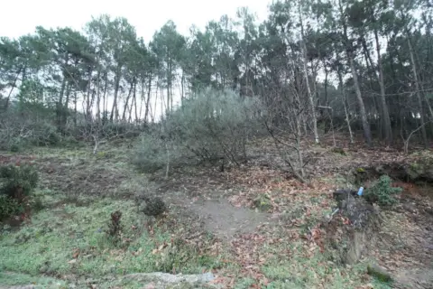 Terreno en Camino de la Mosquera