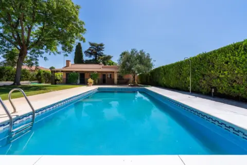 Chalet en calle de los Tulipanes