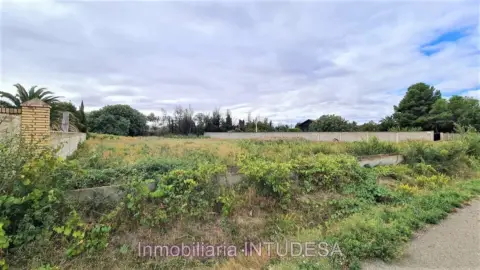 Terreno en calle Termino La Par Baja
