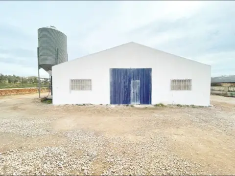 Nave industrial en Mollina