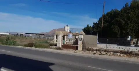 Terreno en Carretera Jacarilla Bigastro
