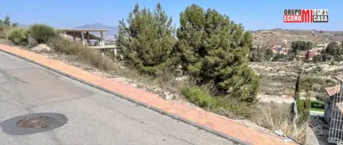 Terreno en La Alcayna
