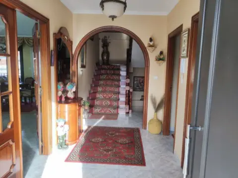 Chalet en calle de Camelia, 117