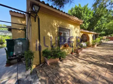 Finca rústica en Polideportivo