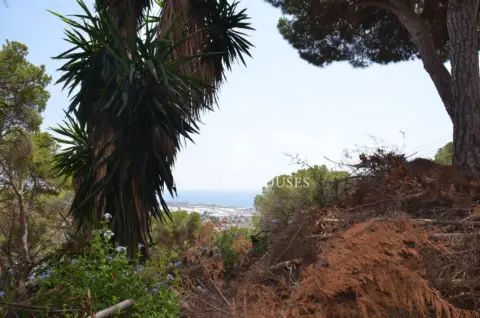 Terreno en Joan Bach