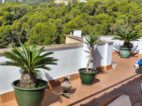 Ático en Carrer de Margaluz