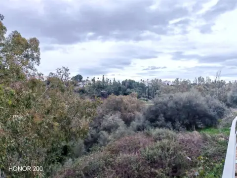 Terreno en calle Eduardo Ramos