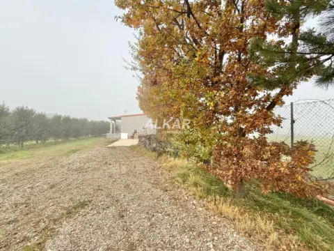 Finca rústica en calle Zauril