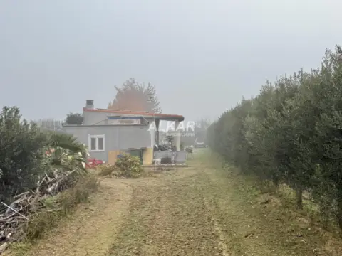 Finca rústica en calle Zauril