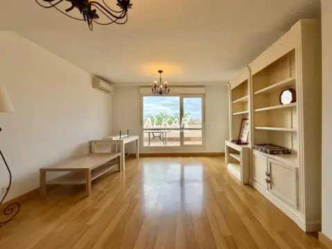 Ático en calle Carlos Iii