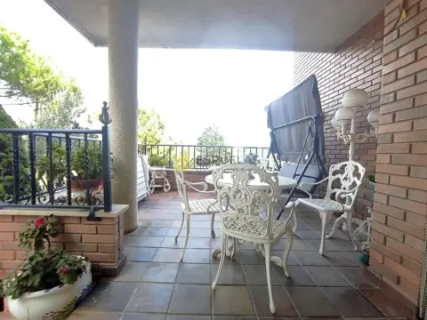 Finca rústica en Camino de Cienta