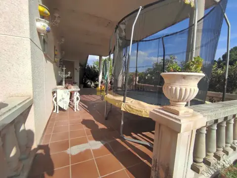 Finca rústica en Camino de Cienta