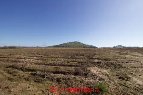 Terreno en calle La Vega, nº 2