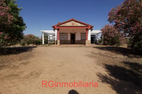 Chalet en Crta. Cruces