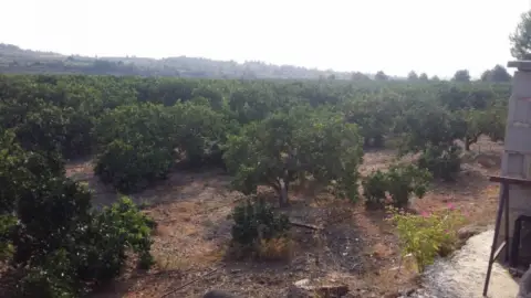 Finca rústica en Pla de Maso